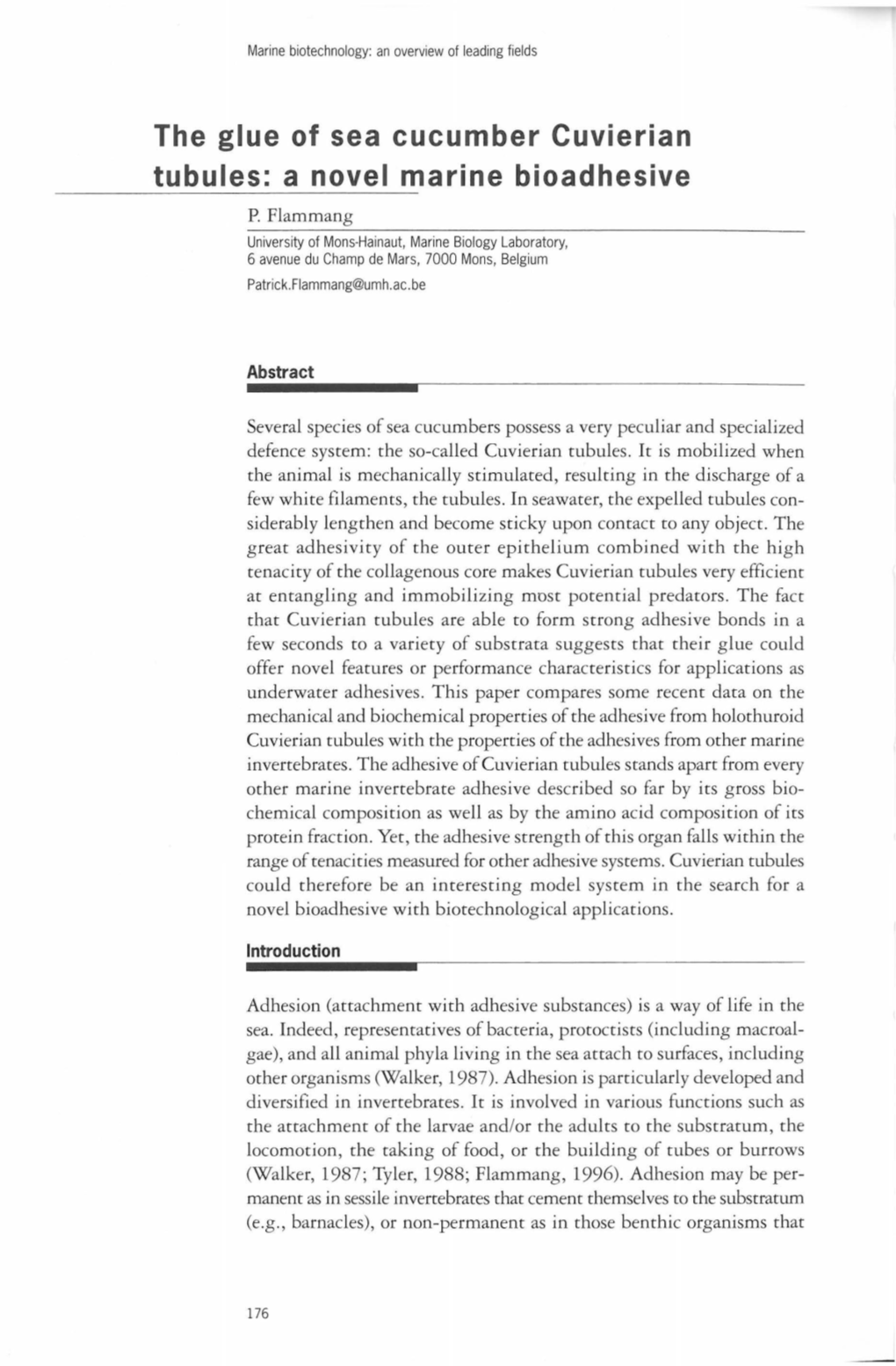 The Glue of Sea Cucumber Cuvierian Tubules: a Novel Marine Bioadhesive P