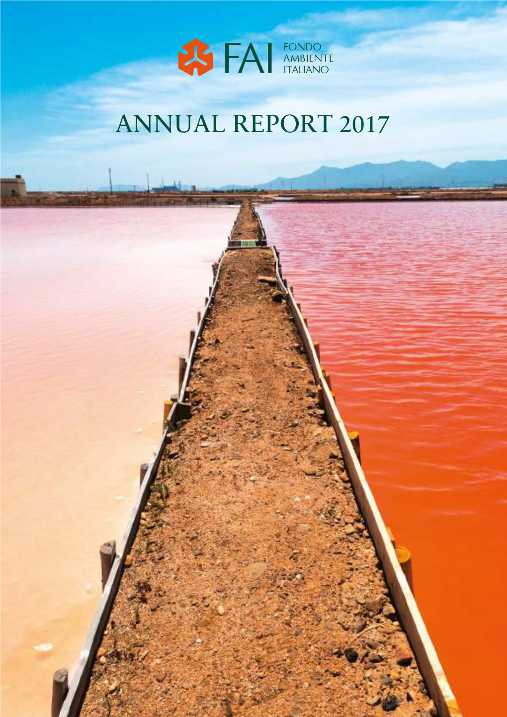 Annual Report 2017