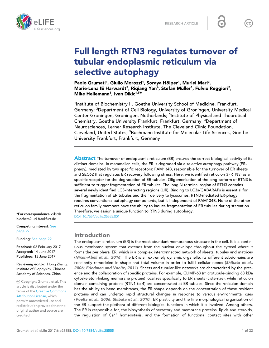 Full Length RTN3 Regulates Turnover of Tubular Endoplasmic