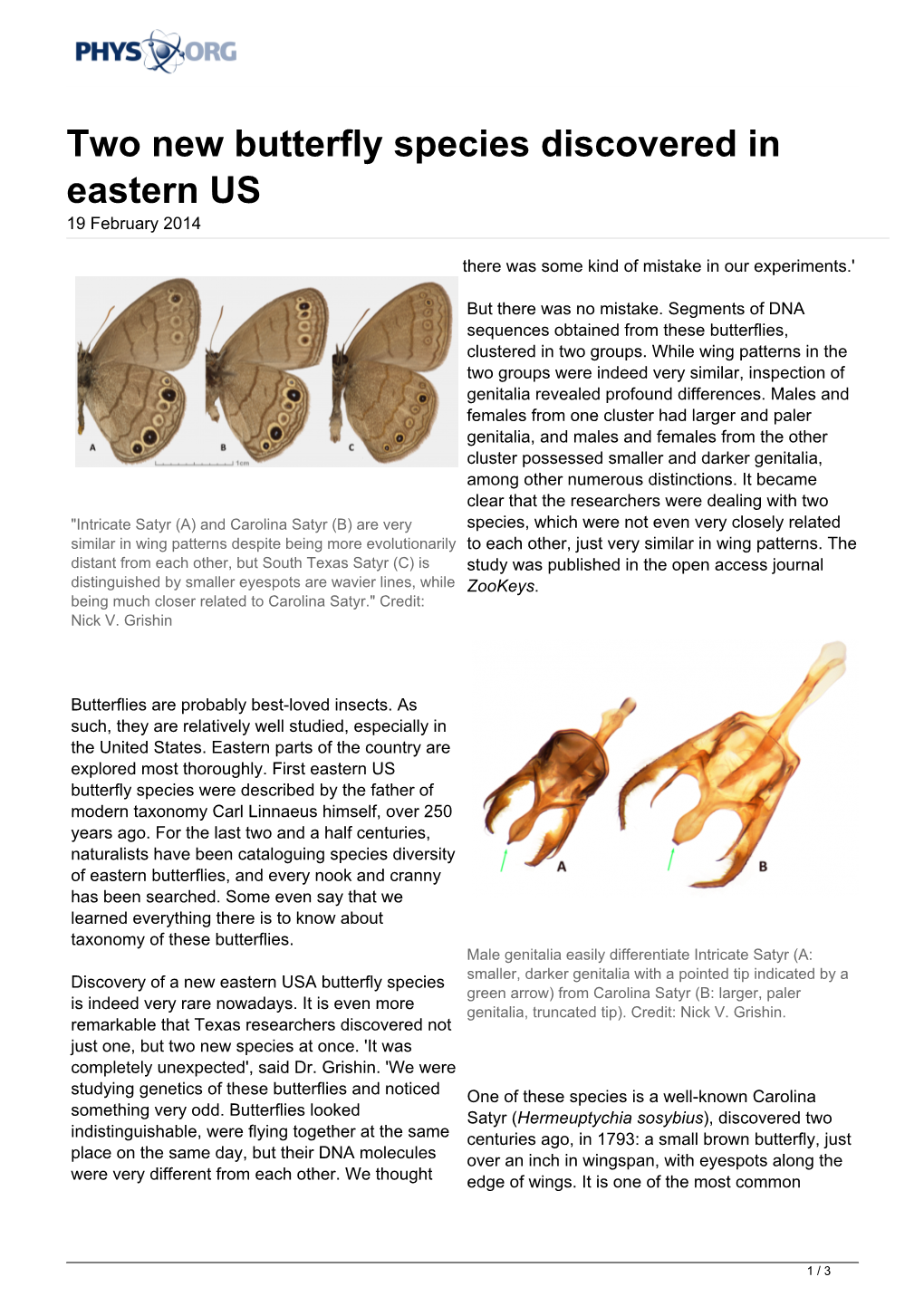 Two New Butterfly Species Discovered in Eastern US 19 February 2014