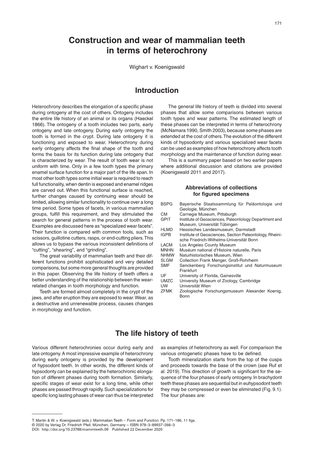 Construction and Wear of Mammalian Teeth in Terms of Heterochrony