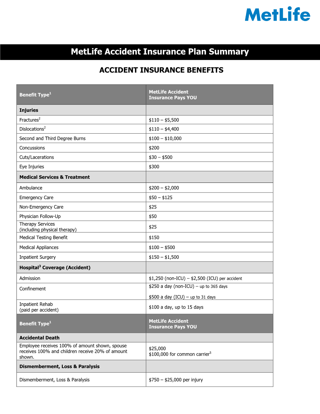 Metlife Accident Insurance Plan Summary