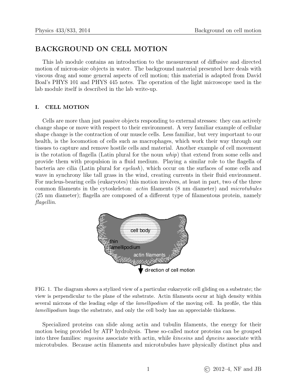 Background on Cell Motion