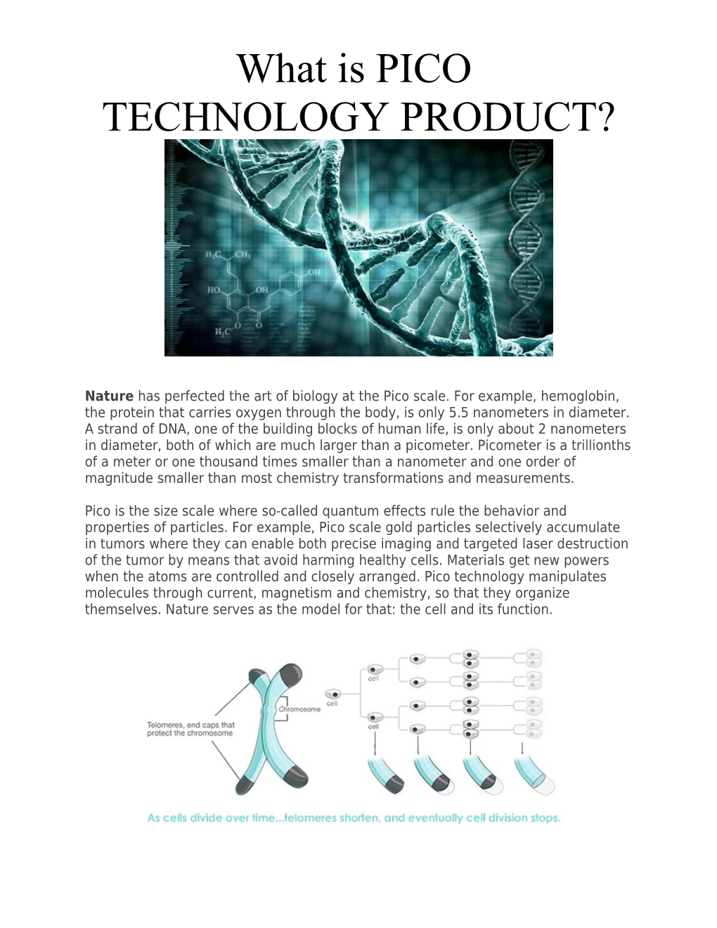 What Is PICO TECHNOLOGY PRODUCT?