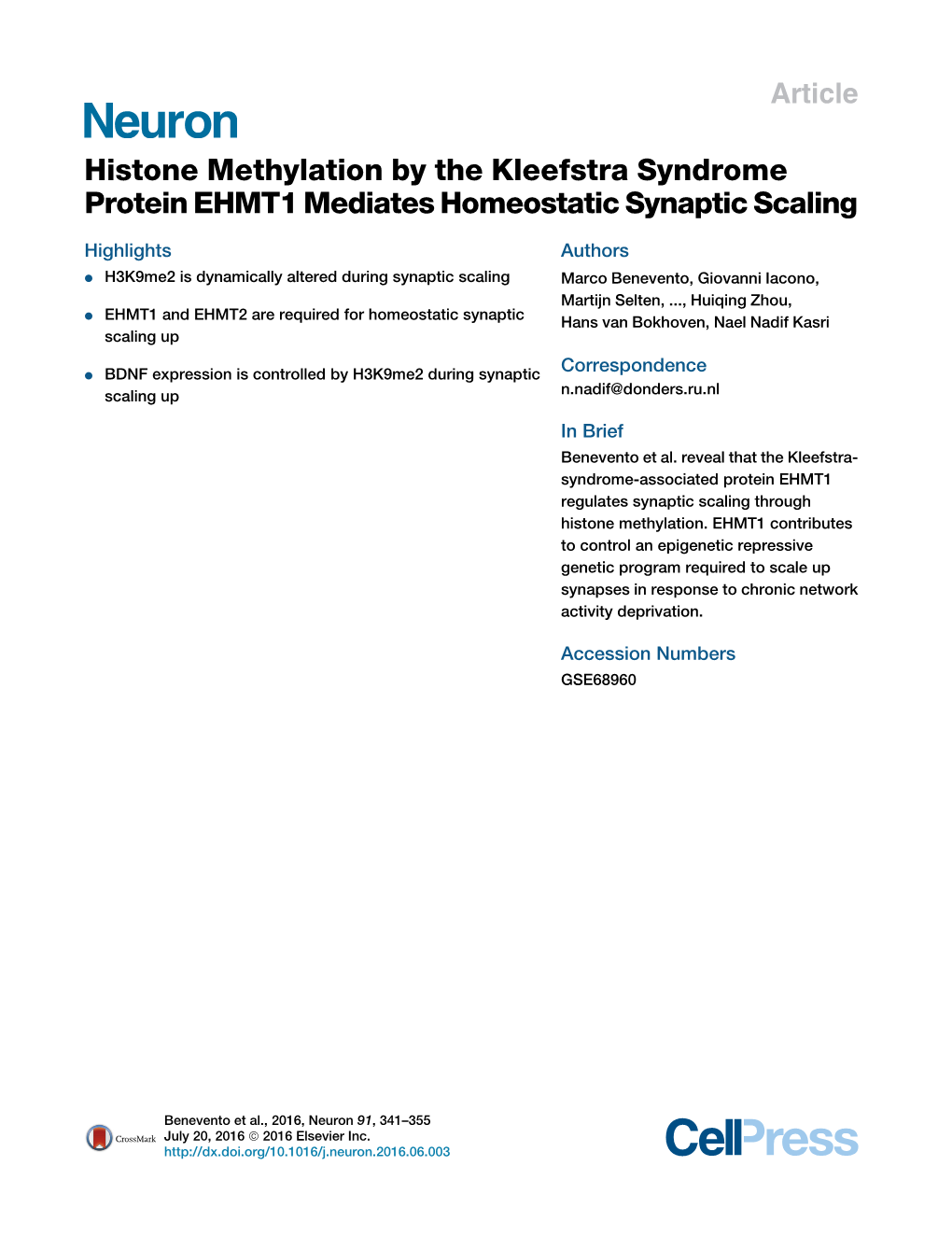 Histone Methylation by the Kleefstra Syndrome Protein EHMT1 Mediates Homeostatic Synaptic Scaling