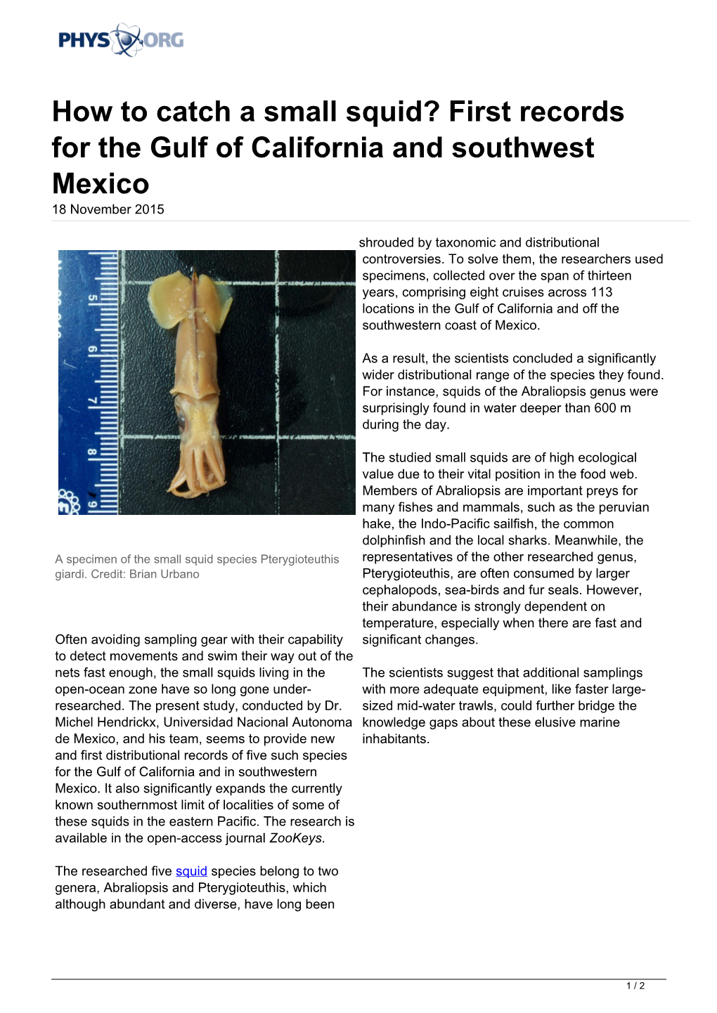 How to Catch a Small Squid? First Records for the Gulf of California and Southwest Mexico 18 November 2015