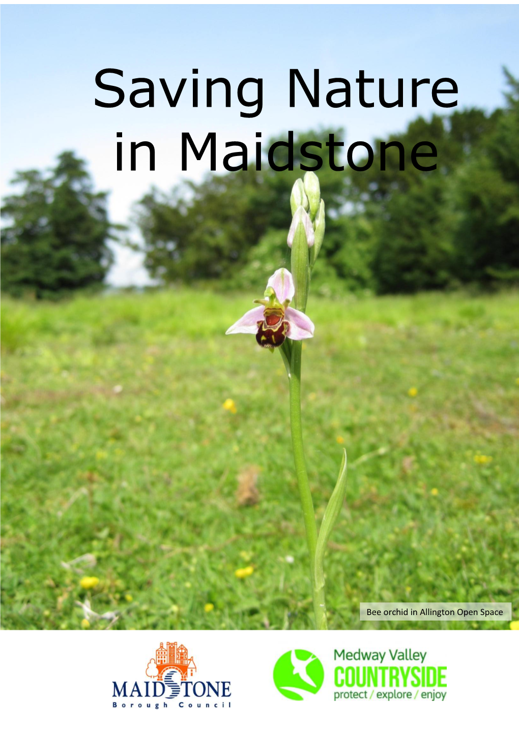 Saving Nature in Maidstone