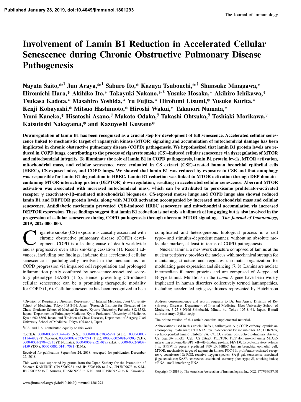 Involvement of Lamin B1 Reduction in Accelerated Cellular Senescence During Chronic Obstructive Pulmonary Disease Pathogenesis