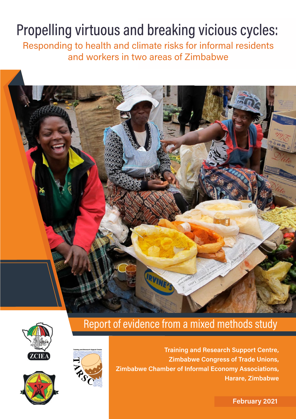 Propelling Virtuous and Breaking Vicious Cycles: Responding to Health and Climate Risks for Informal Residents and Workers in Two Areas of Zimbabwe