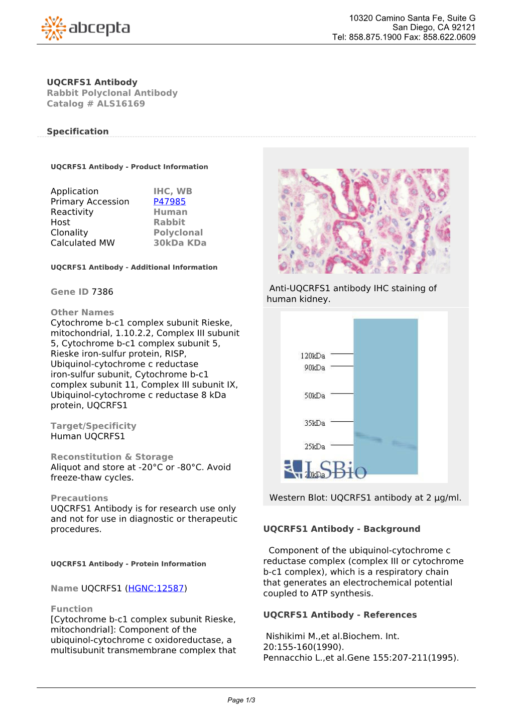 UQCRFS1 Antibody Rabbit Polyclonal Antibody Catalog # ALS16169