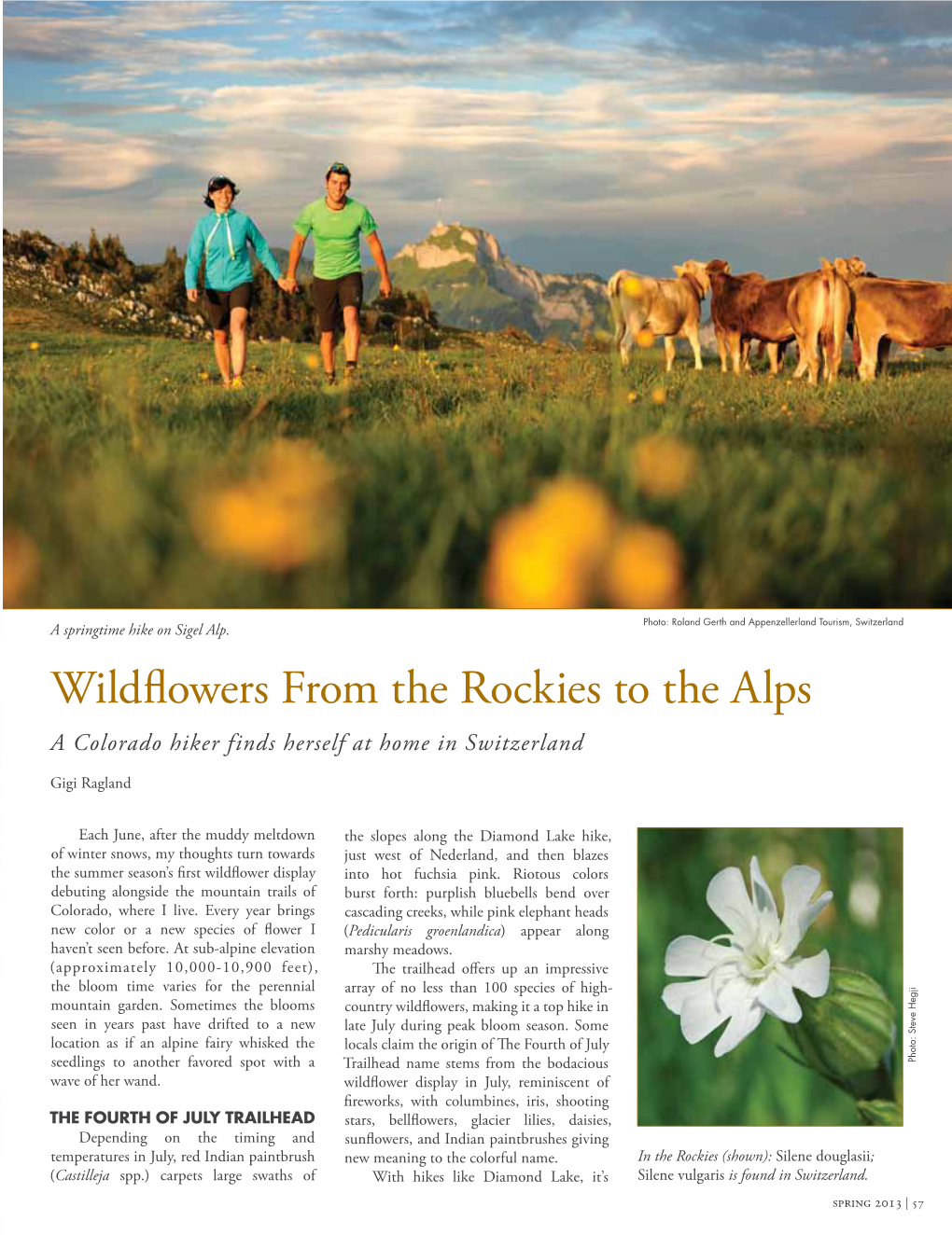 Wildflowers from the Rockies to the Alps