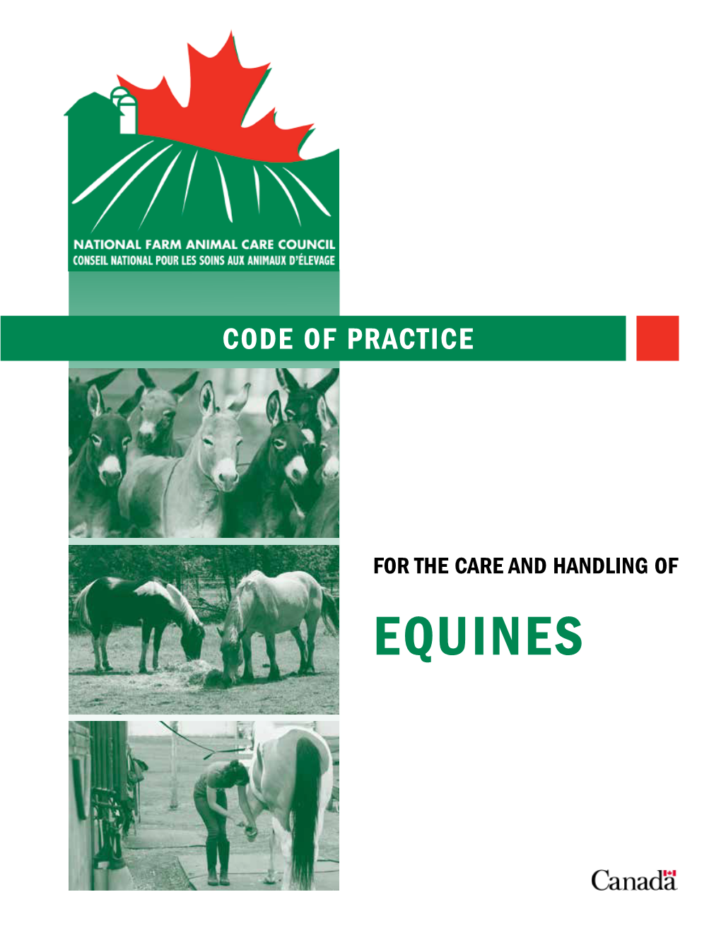 CODE of PRACTICE for the CARE and HANDLING of EQUINES - 2013 1 4.2 Sick, Injured Or Compromised Horses