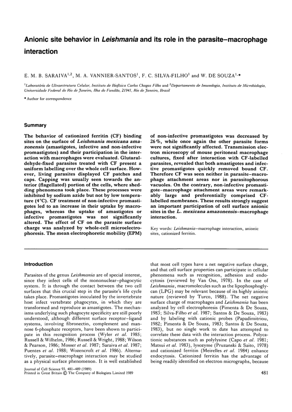 Anionic Site Behavior in Leishmania and Its Role in the Parasite-Macrophage Interaction