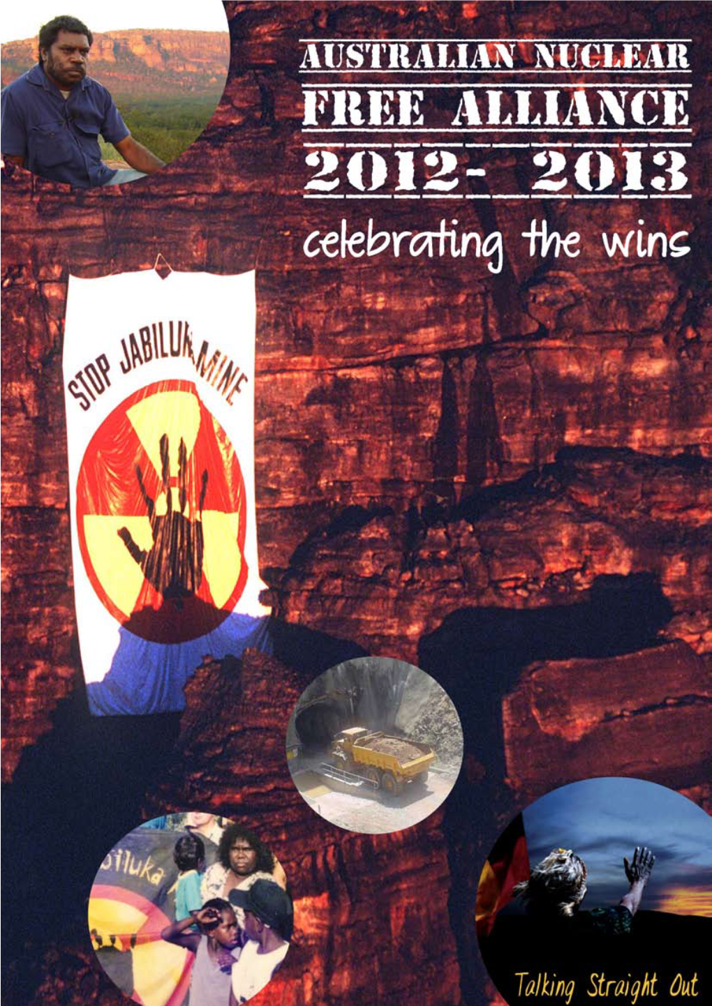 ANFA Report 2012-2013