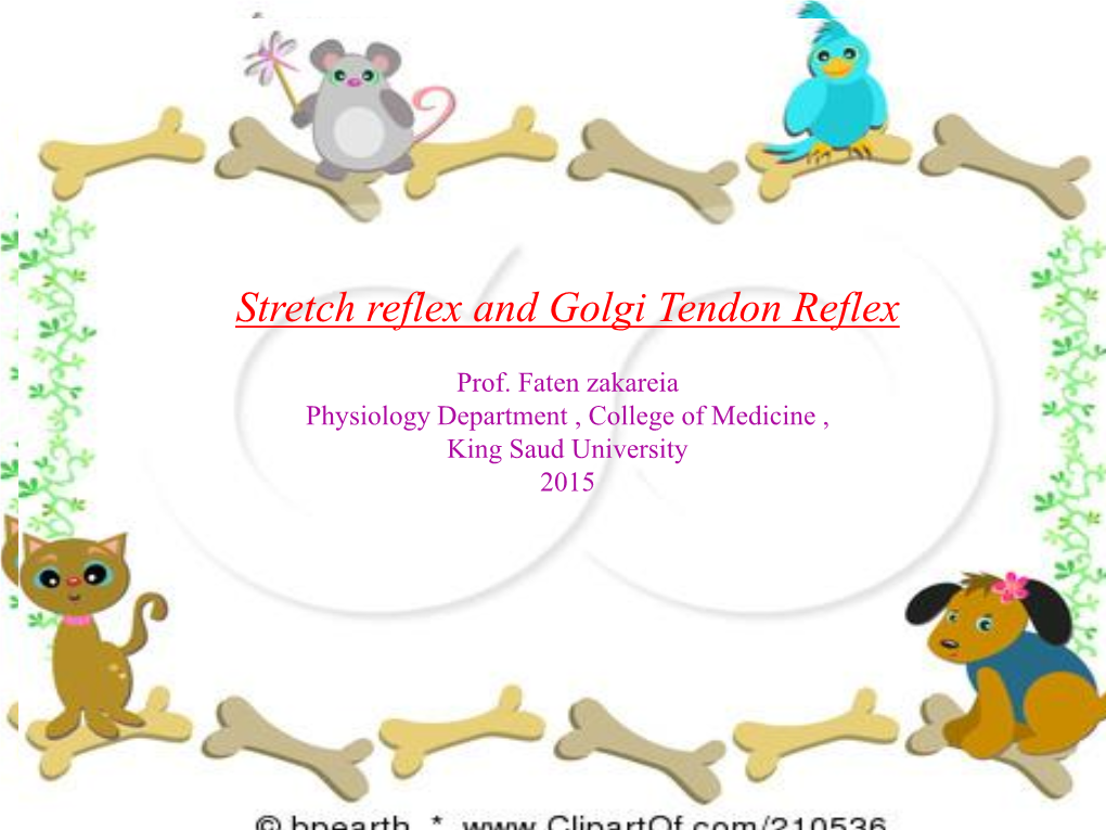 Stretch Reflex and Golgi Tendon Reflex