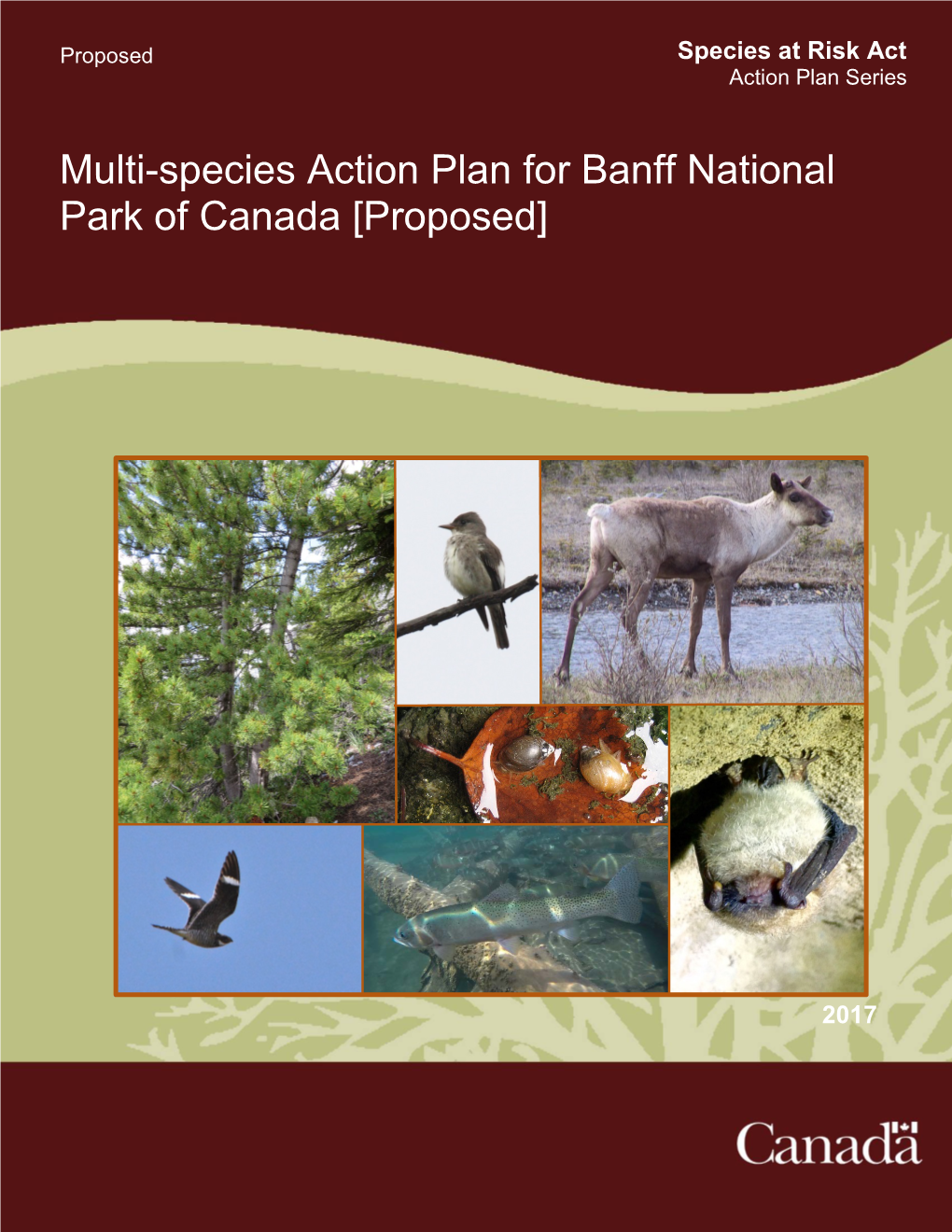 Multi-Species Action Plan for Banff National Park of Canada [Proposed]