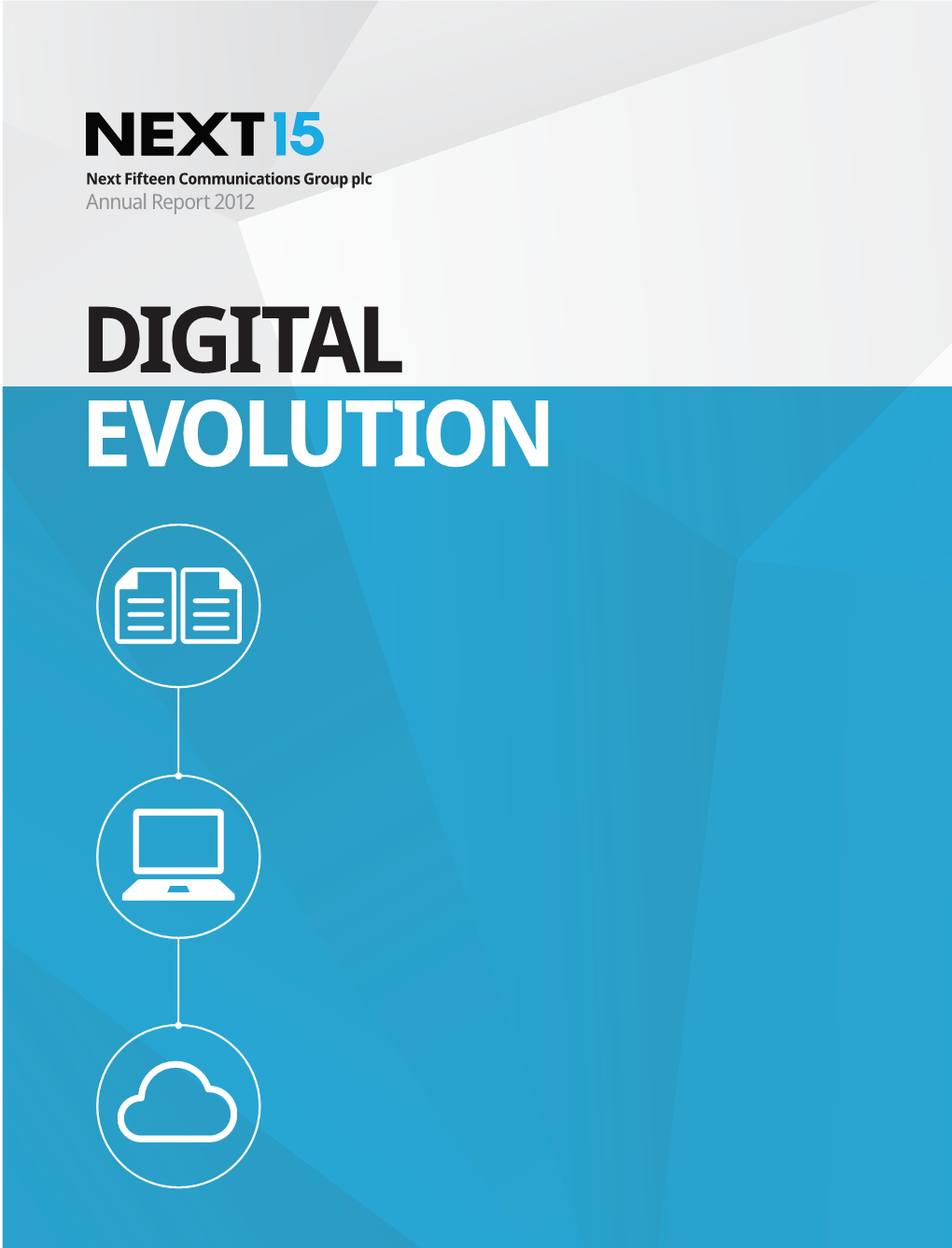 Digital Evolution