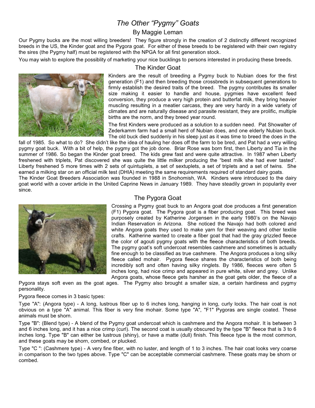 The Other Pygmy Goats, Kinders and Pygoras