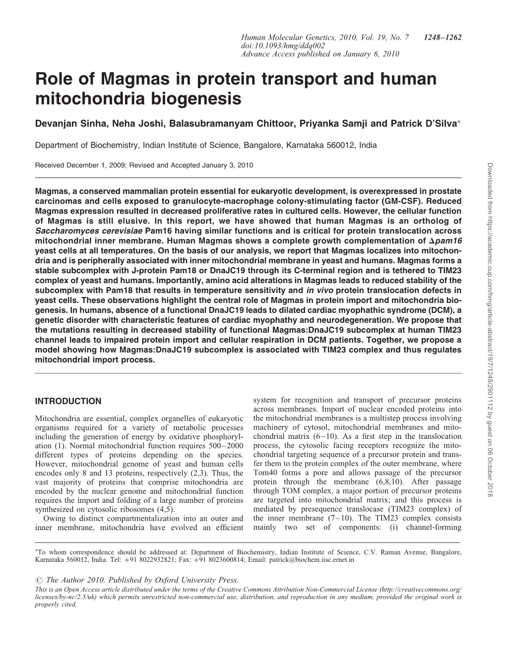 Role of Magmas in Protein Transport and Human Mitochondria Biogenesis