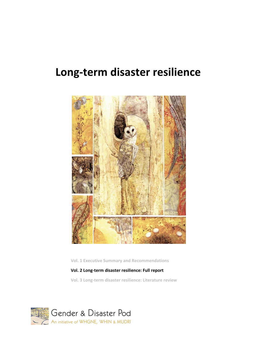 Long-Term Disaster Resilience