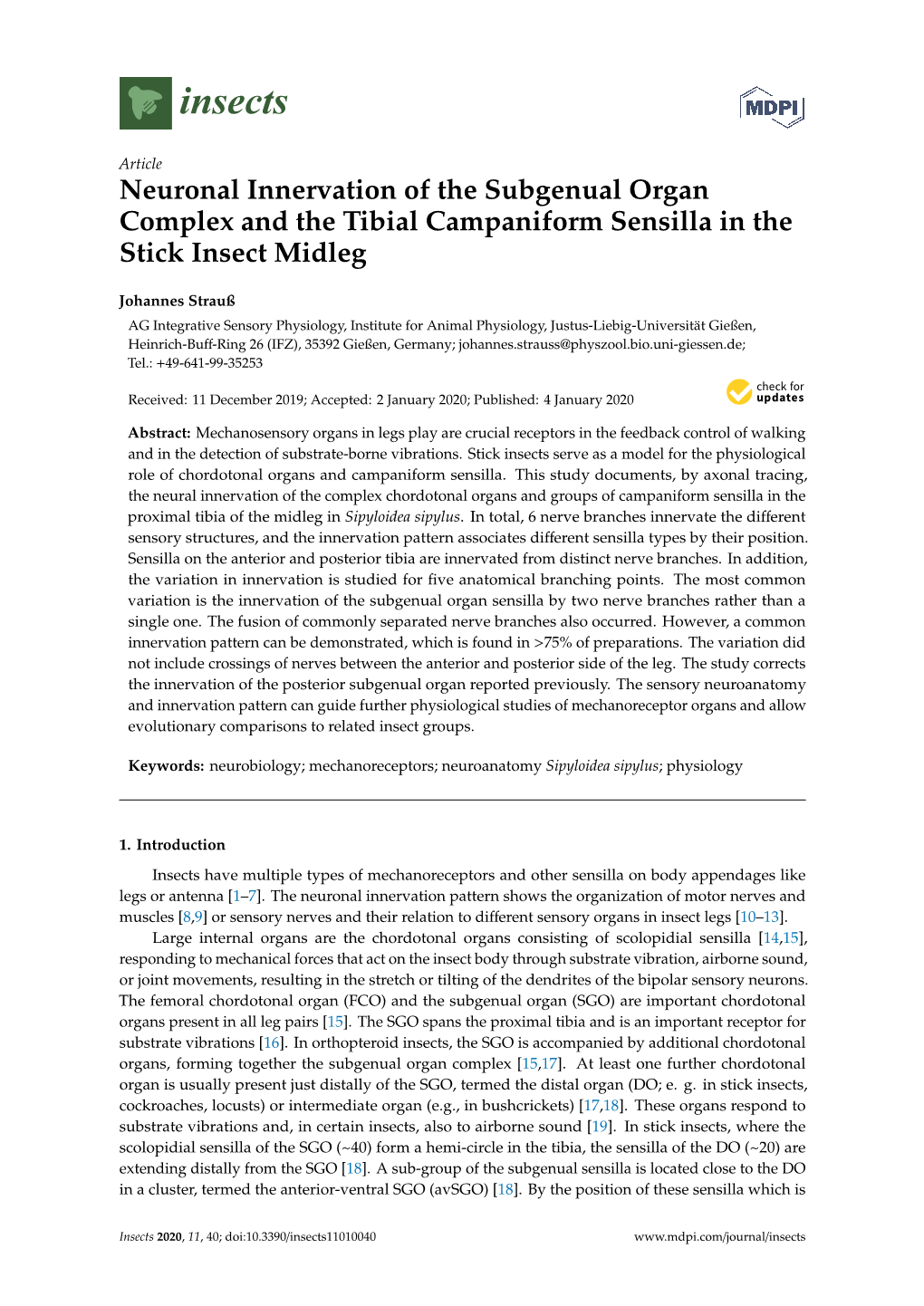 Neuronal Innervation of the Subgenual Organ Complex and the Tibial Campaniform Sensilla in the Stick Insect Midleg