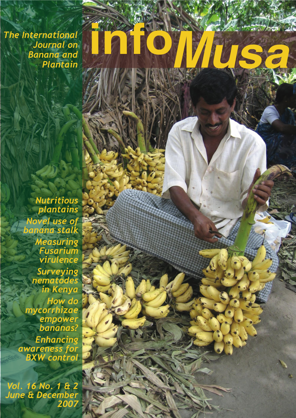 Infomusa : the International Journal on Banana and Plantain