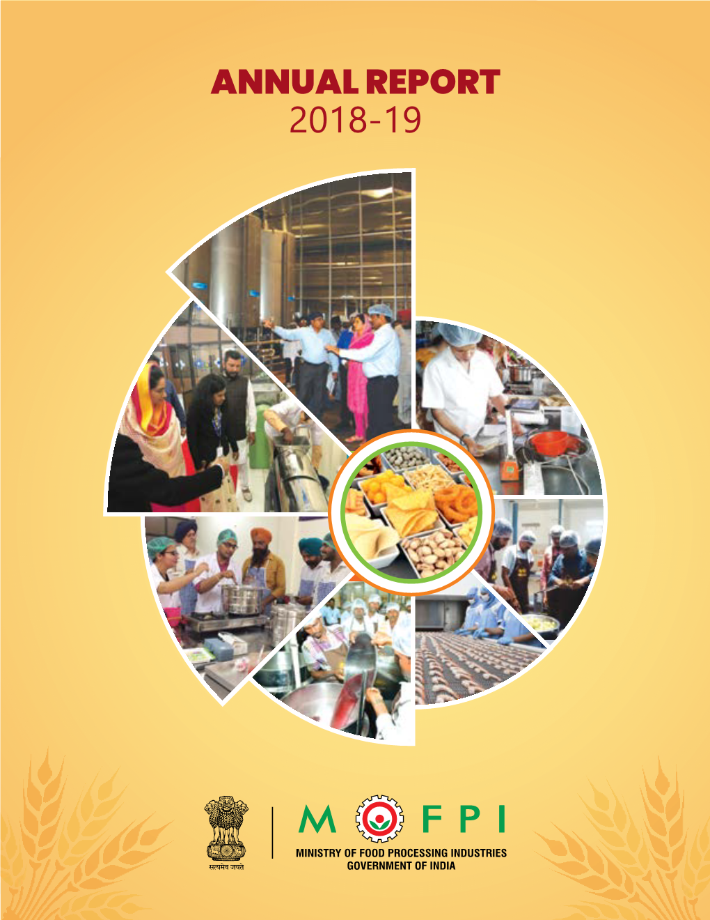 MOFPI Annual Report 2018-19