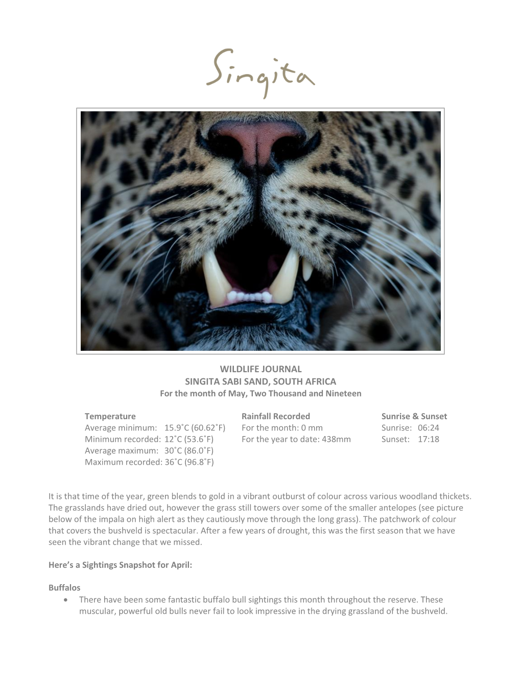 WILDLIFE JOURNAL SINGITA SABI SAND, SOUTH AFRICA for the Month of May, Two Thousand and Nineteen