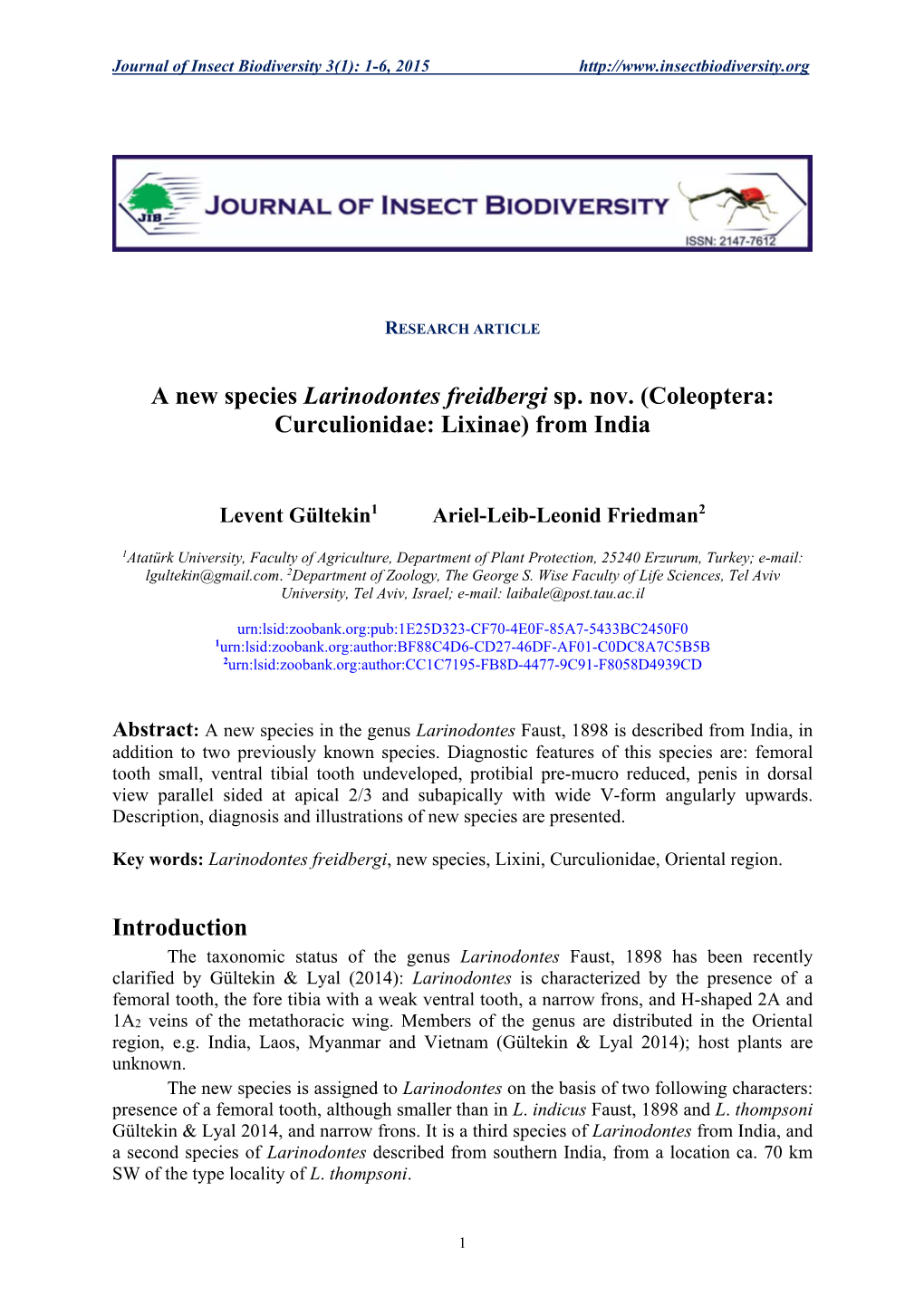 A New Species Larinodontes Freidbergi Sp. Nov. (Coleoptera: Curculionidae: Lixinae) from India