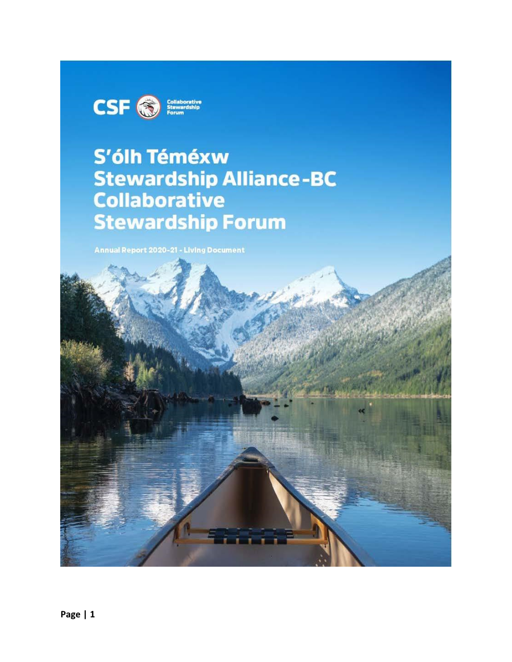 Download the CSF 2020-2021 Year End Report