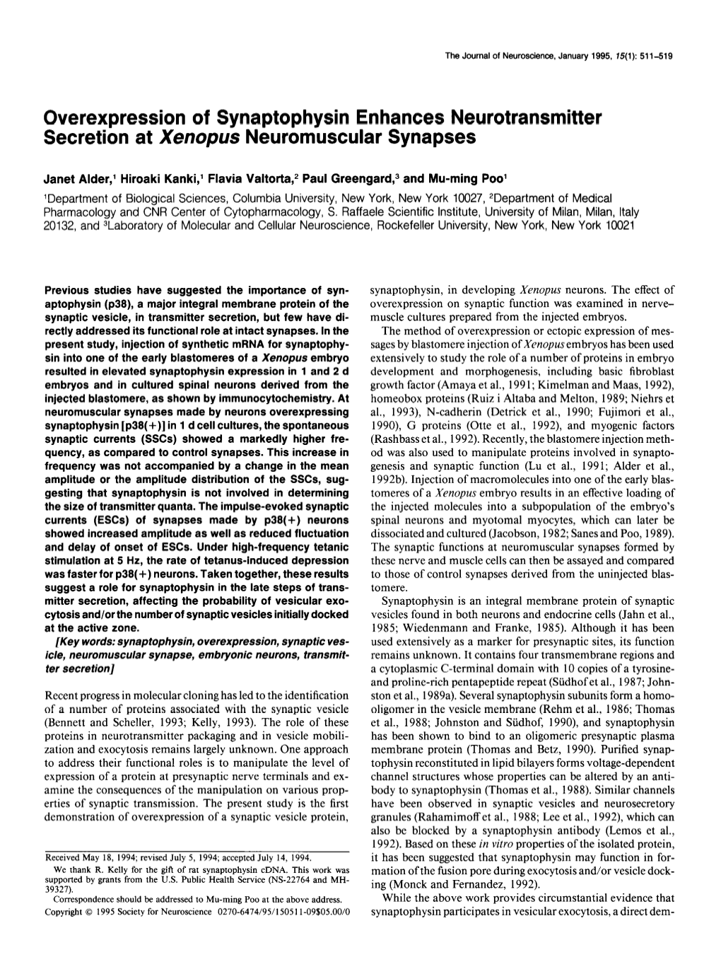 Overexpression of Synaptophysin Enhances Neurotransmitter Secretion at Xenopus Neuromuscular Synapses