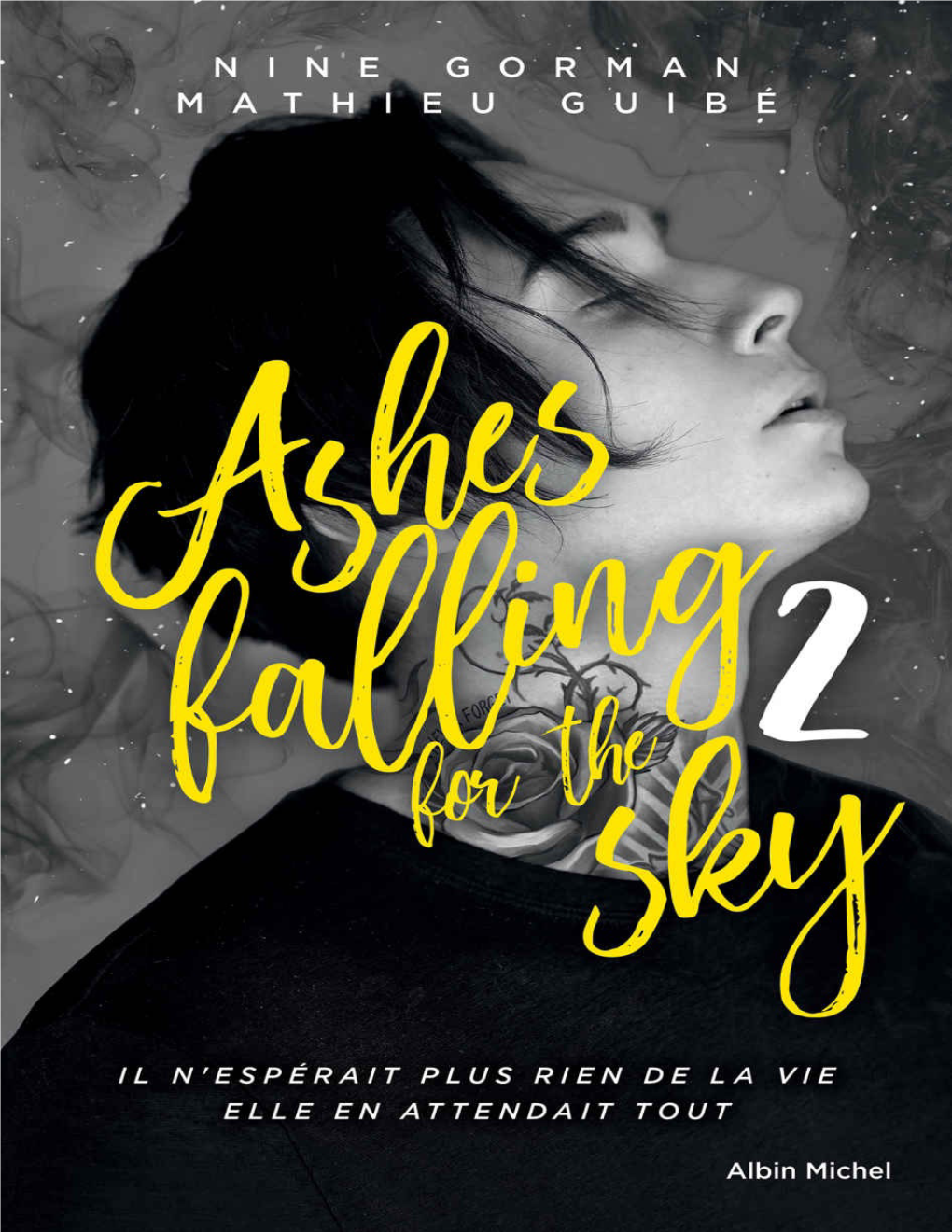 Ashes Falling for the Sky 2