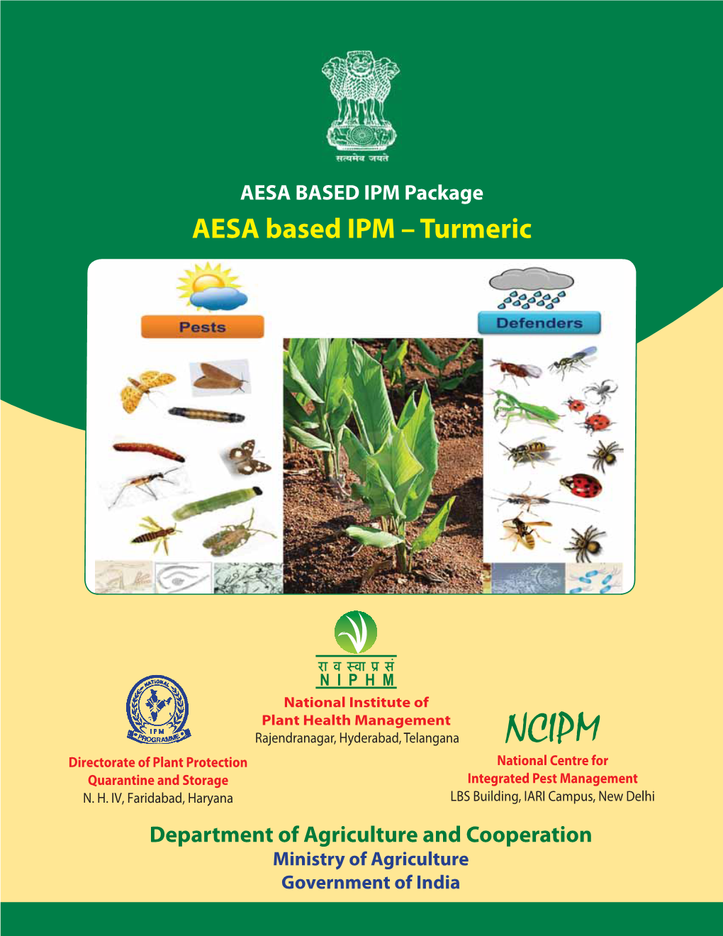 AESA Based IPM – Turmeric Important Natural Enemies of Turmeric Insect Pests