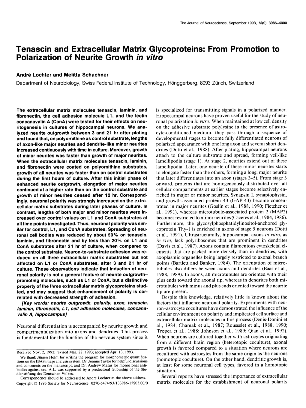 Tenascin and Extracellular Matrix Glycoproteins: from Promotion to Polarization of Neurite Growth in Vitro