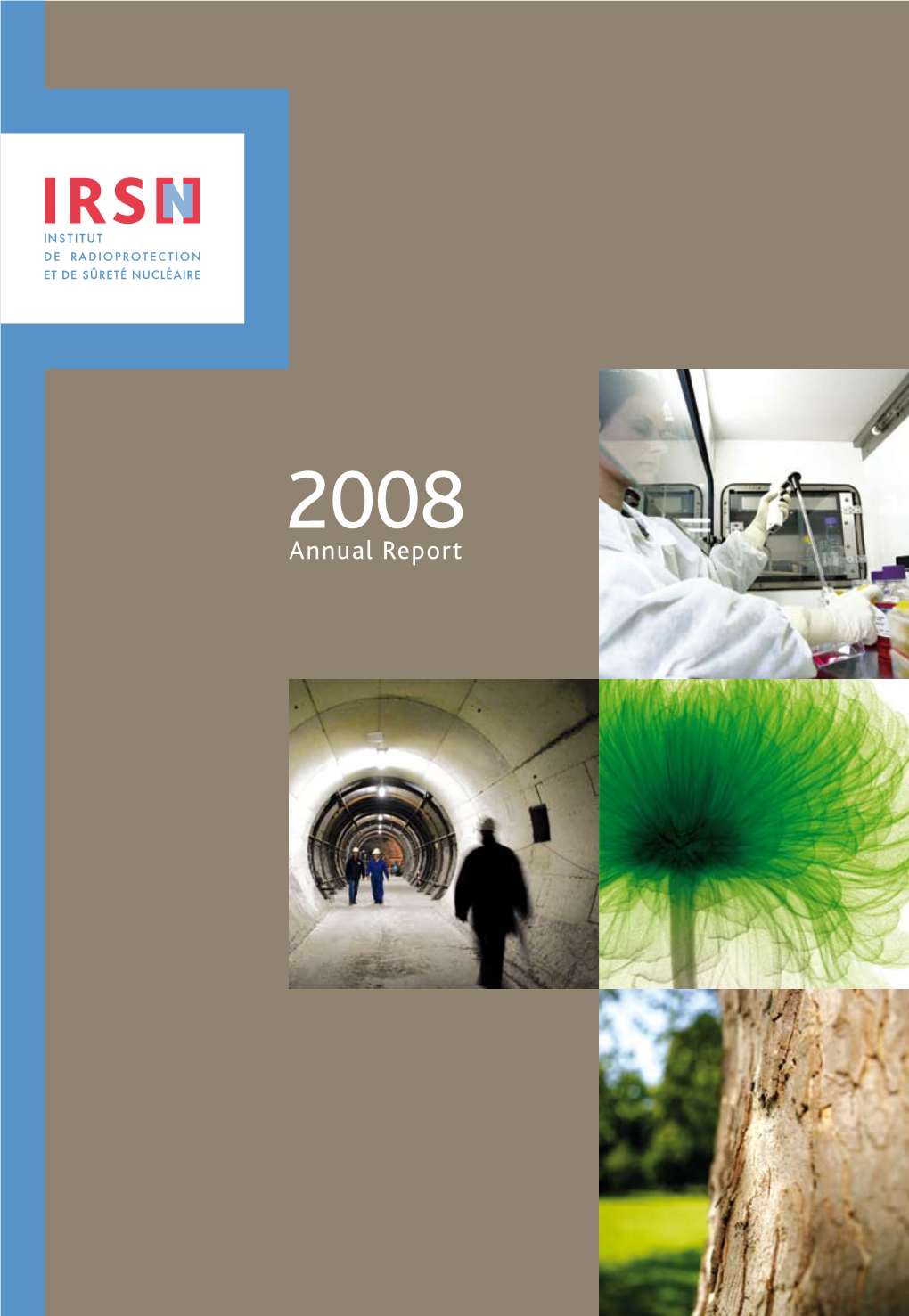 IRSN Annual Report 2008