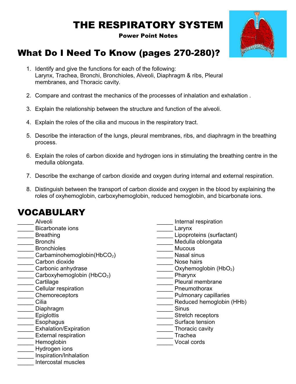 The Respiratory System s1