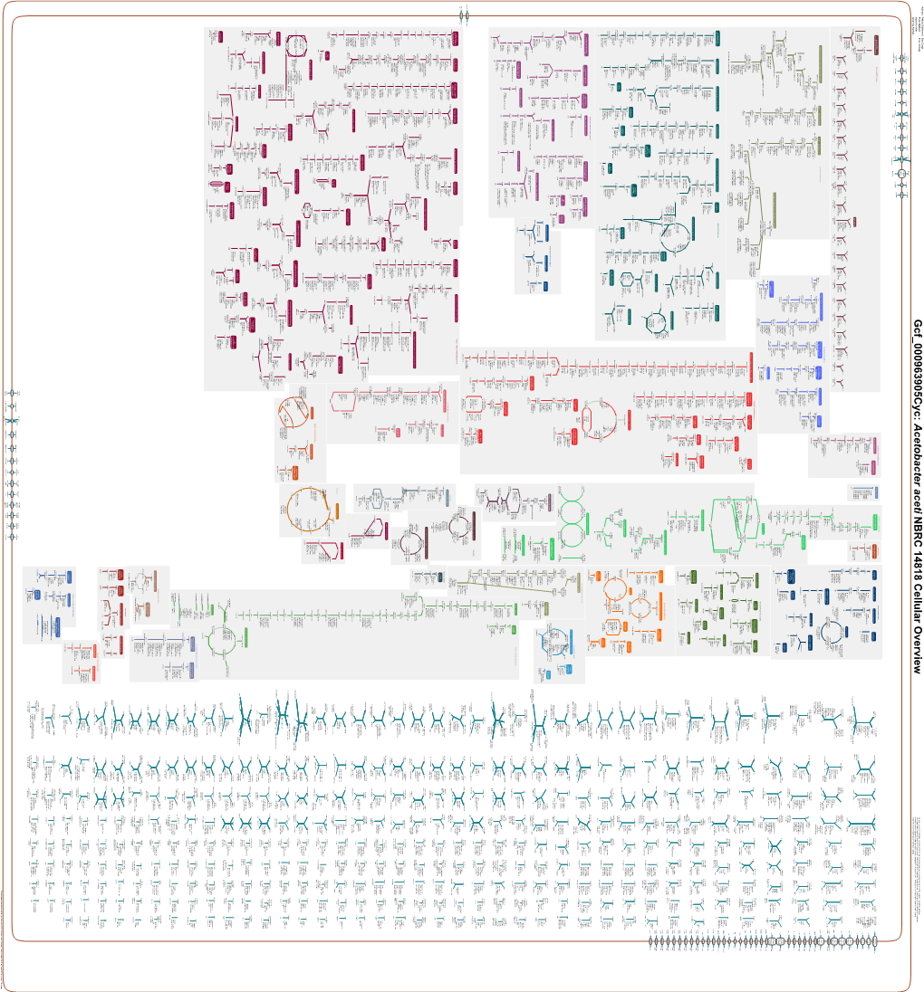 Generate Metabolic Map Poster