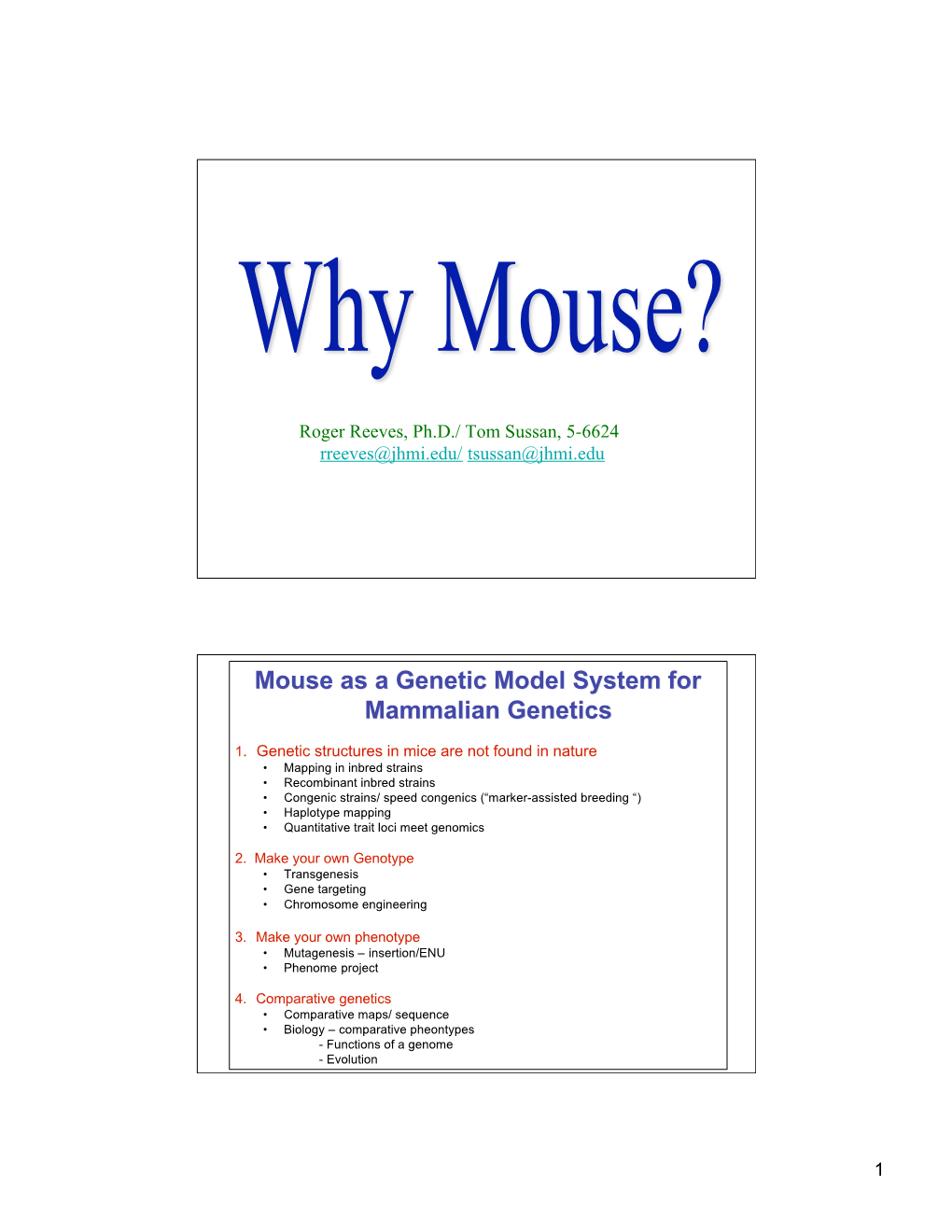 Mouse As a Genetic Model System for Mammalian Genetics
