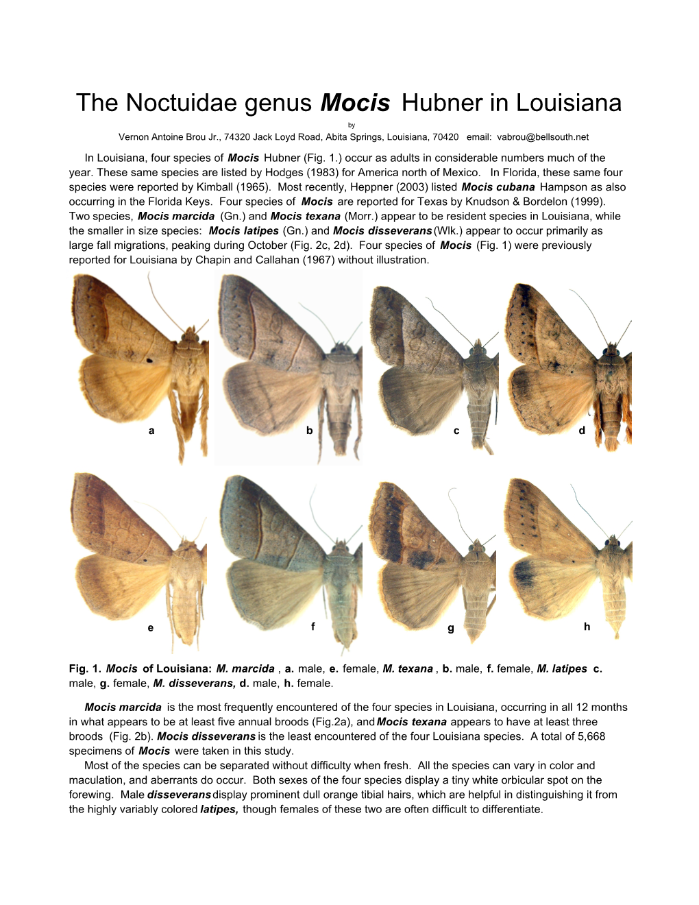 The Noctuidae Genus Mocis Hubner in Louisiana