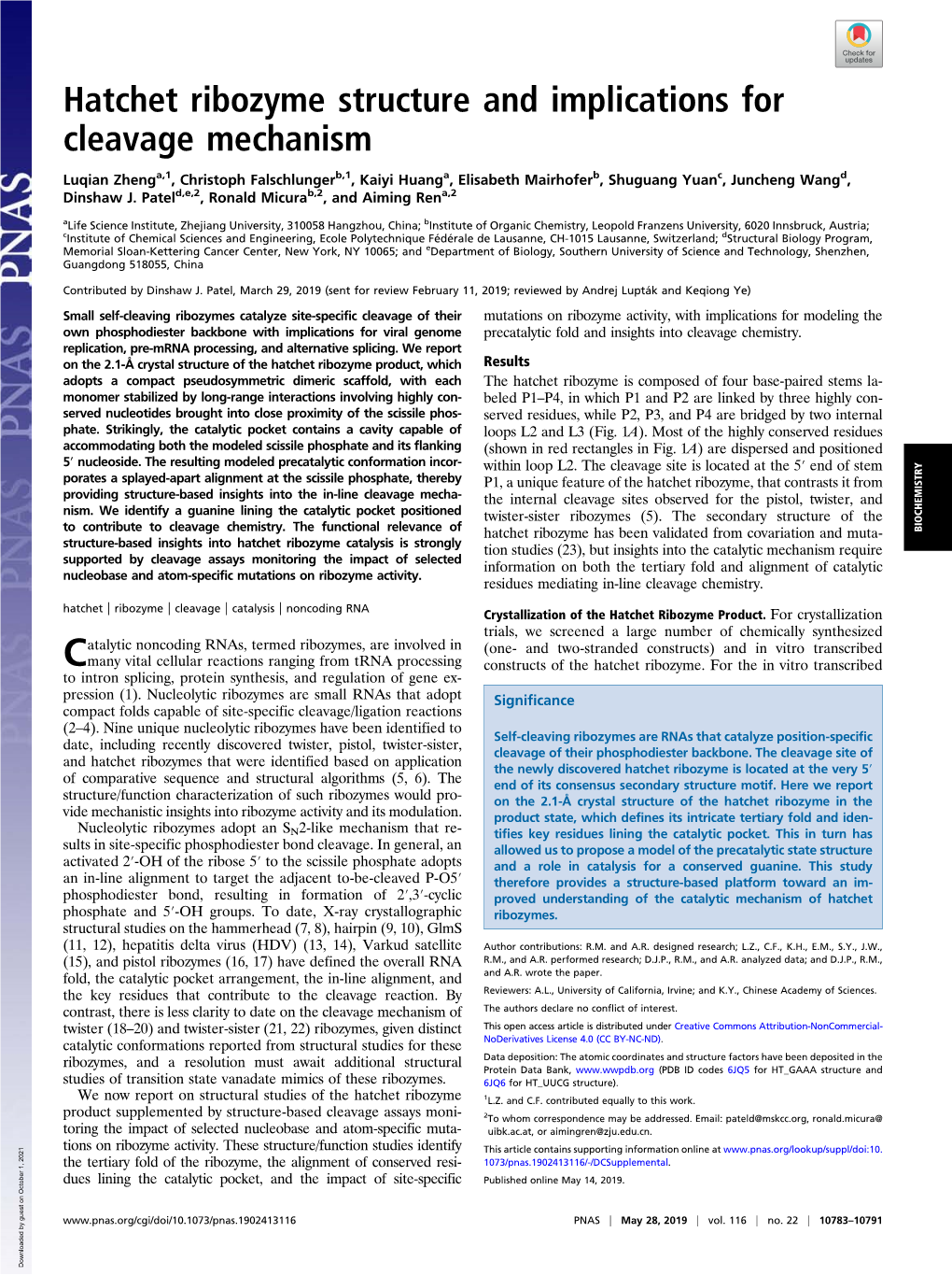 Hatchet Ribozyme Structure and Implications for Cleavage Mechanism