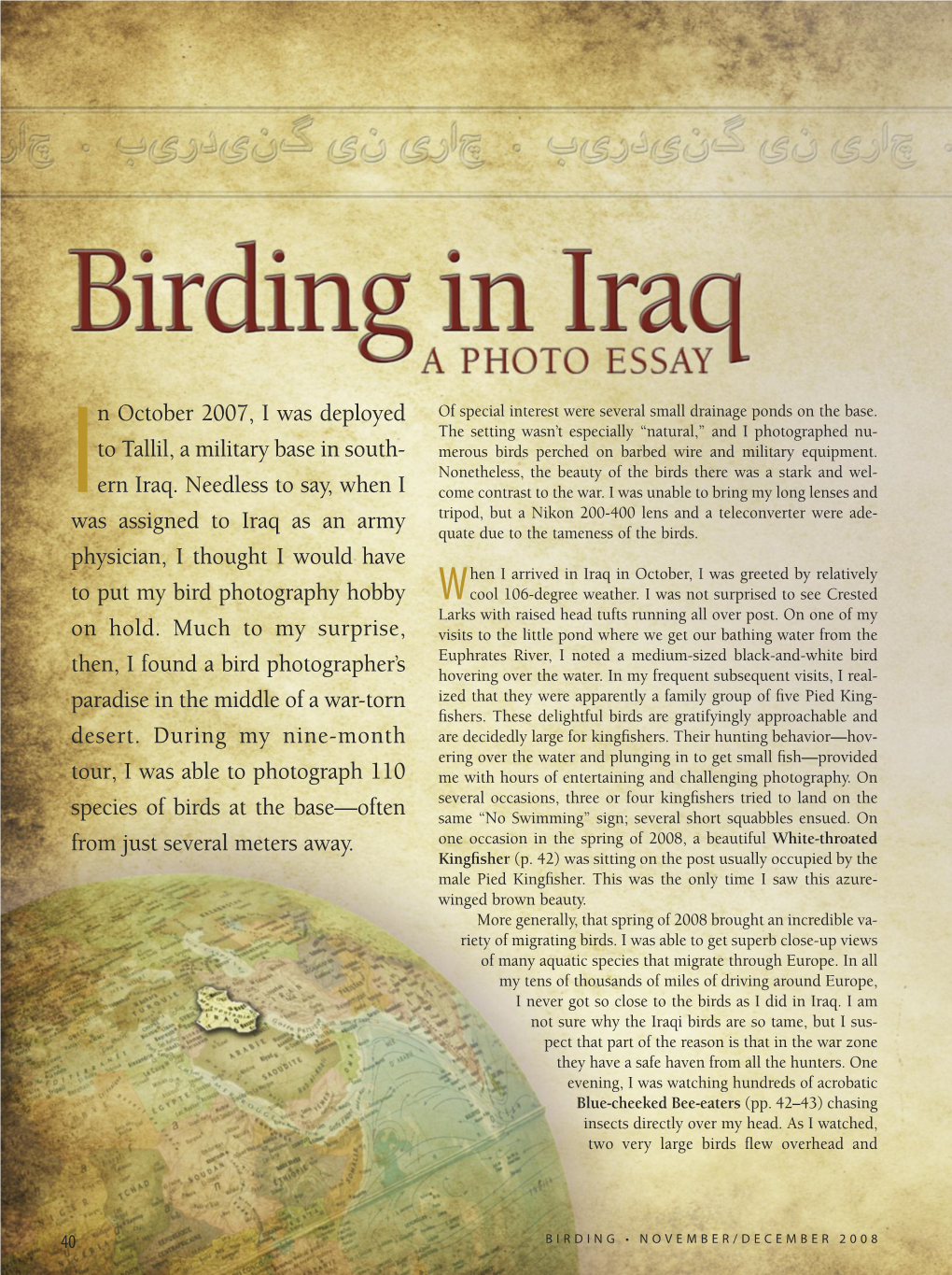 Birding in Iraq