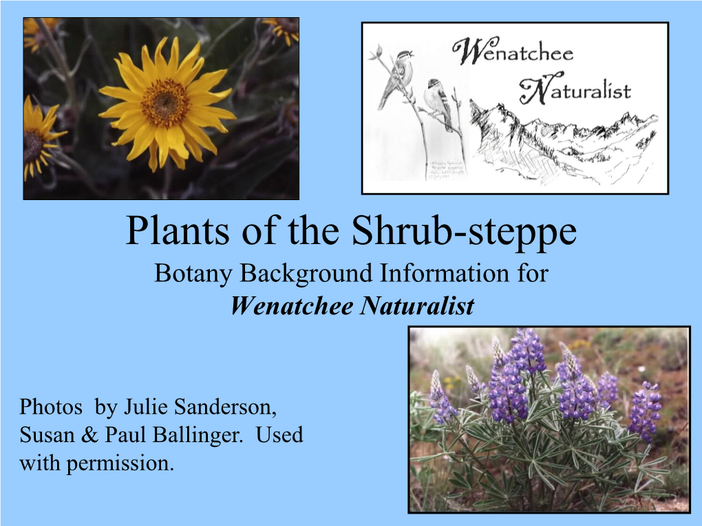 Plants of the Shrub-Steppe Botany Background Information for Wenatchee Naturalist