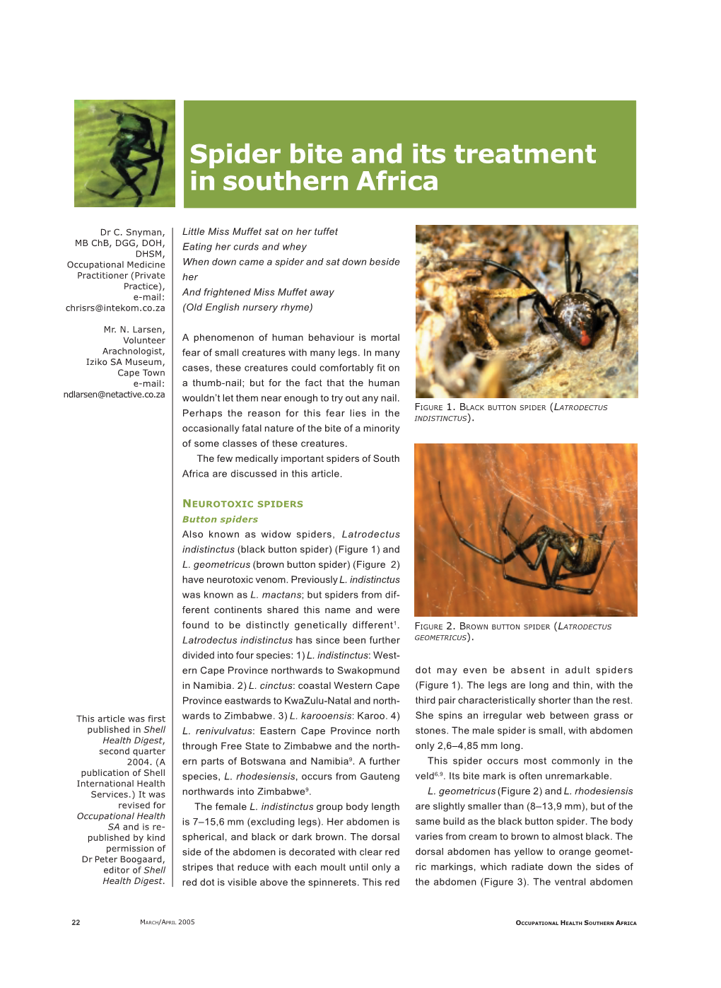 Spider Bite and Its Treatment in Southern Africa
