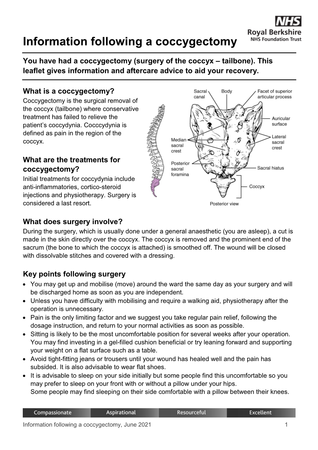 Information Following a Coccygectomy