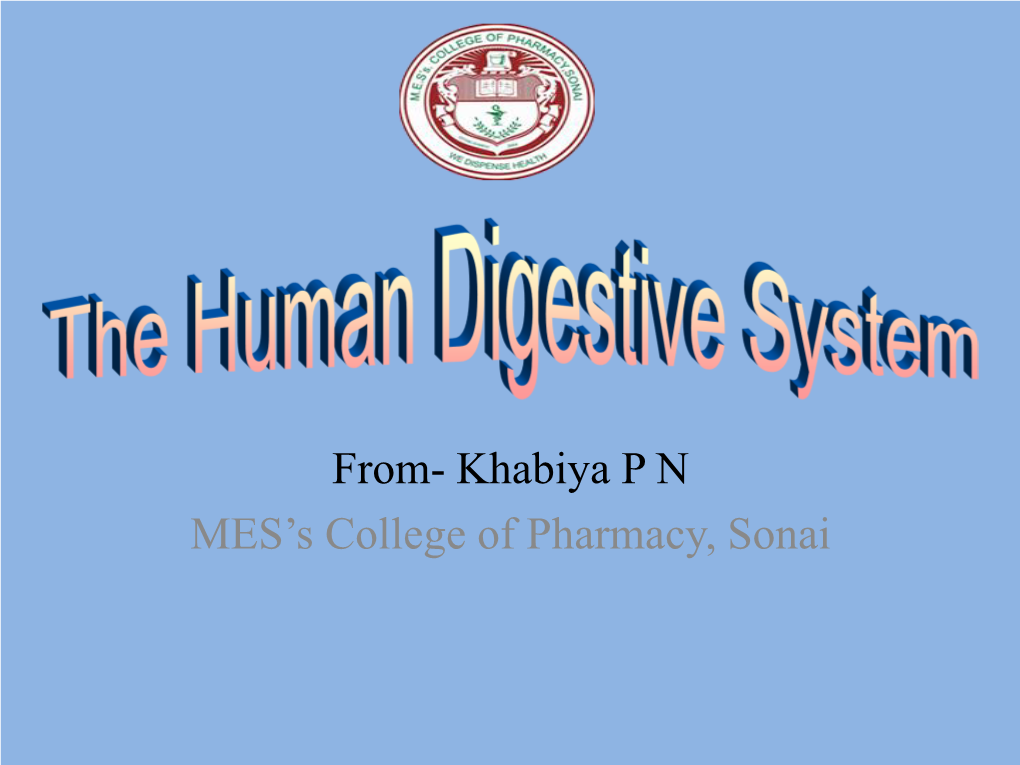 The Human Digestive System