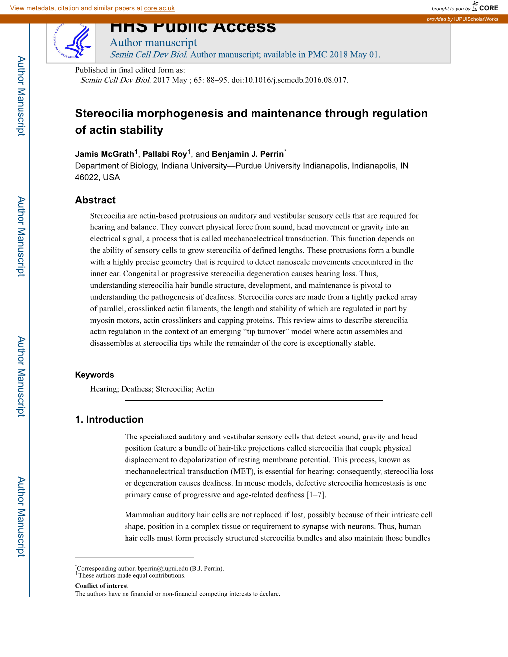 Stereocilia Morphogenesis and Maintenance Through Regulation of Actin Stability