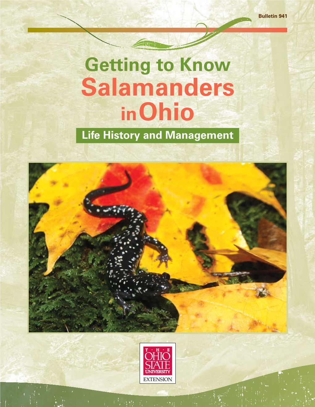 Getting to Know Salamanders in Ohio Life History and Management Getting to Know Salamanders in Ohio: Life History and Management