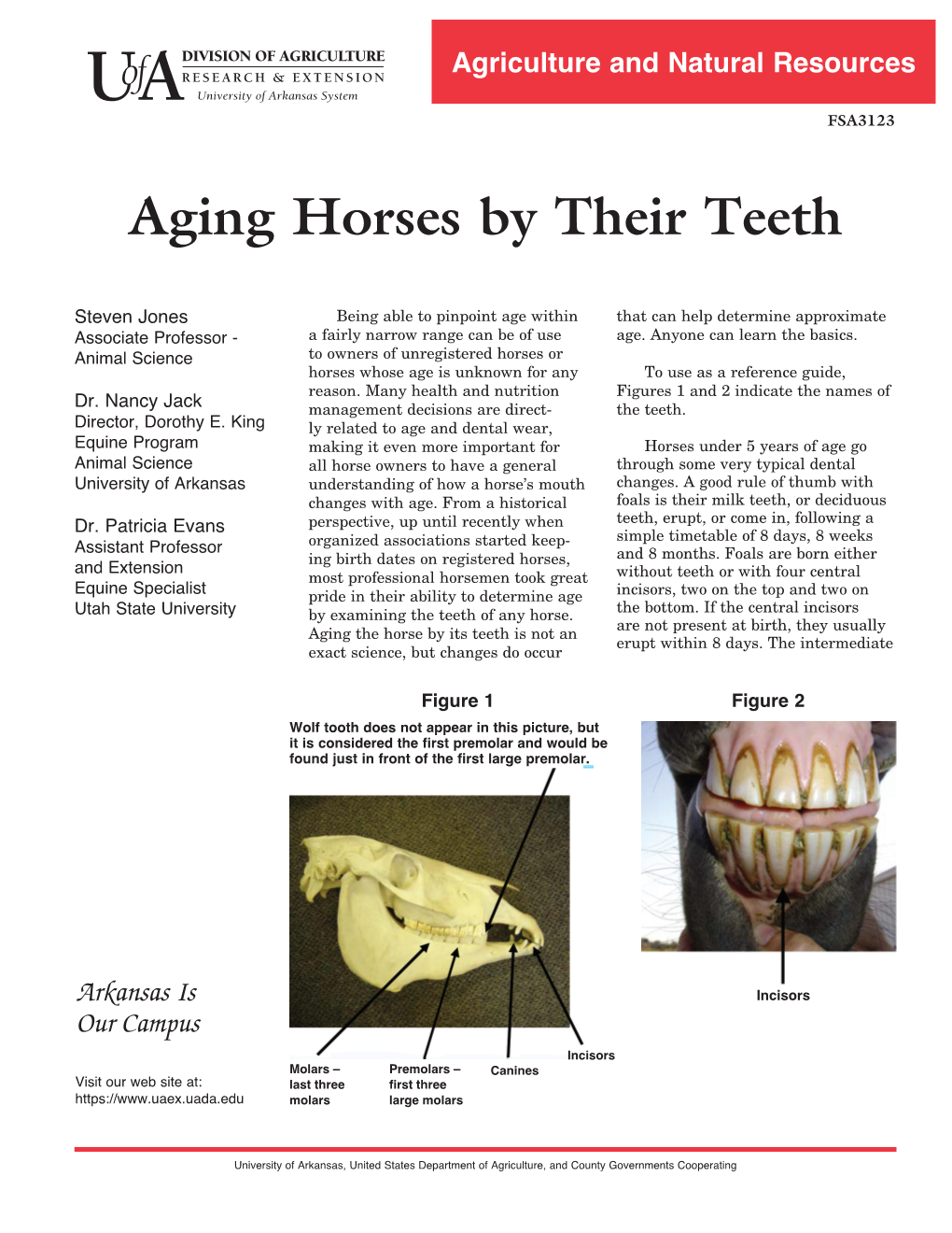 Aging Horses by Their Teeth FSA3123