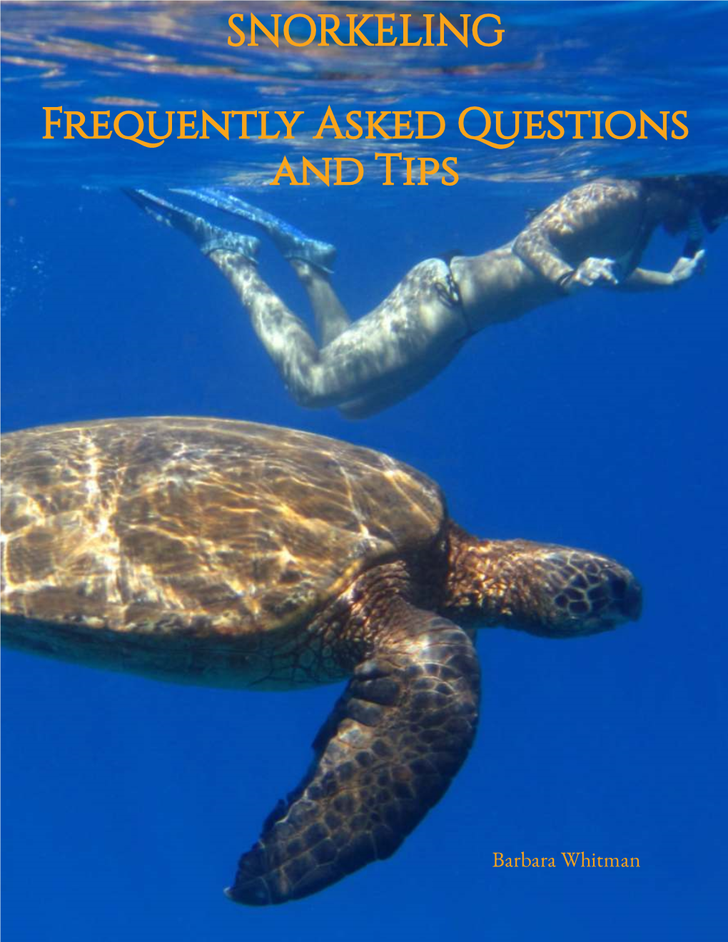 Snorkeling Faqs Full Book