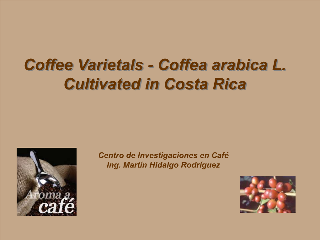 Coffee Varietals - Coffea Arabica L